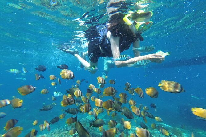 Snorkeling Manta Bay And West Penida Private Guided Tour - Introduction