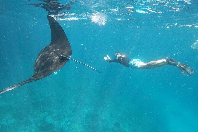 Snorkeling Manta Bay And West Penida Private Guided Tour - The Full Experience: What You Can Expect