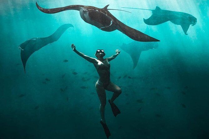 Snorkeling Manta Ray Safari in Nusa Penida - Key Points