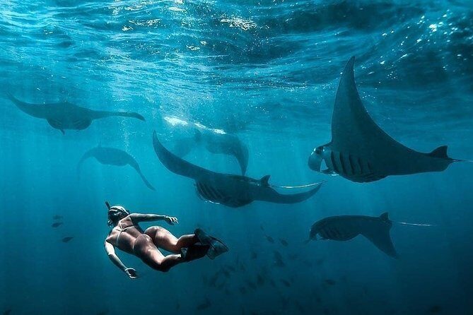 Snorkeling Manta Ray Safari in Nusa Penida - A Detailed Look at the Snorkeling Safari