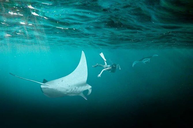 Snorkeling Manta Ray Safari in Nusa Penida - Final Thoughts