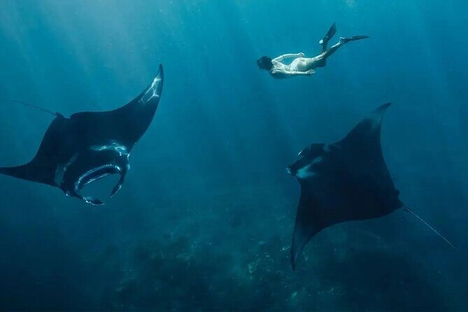 Snorkeling Manta Rays and Land Tour Nusa Penida  All-Included - Key Points