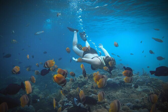 Snorkeling Manta Rays and Land Tour Nusa Penida  All-Included - The Sum Up: A Well-Rounded Nusa Penida Adventure