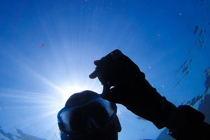 Snorkeling - Marine Park Discovery - Exploring the Tour: What to Expect