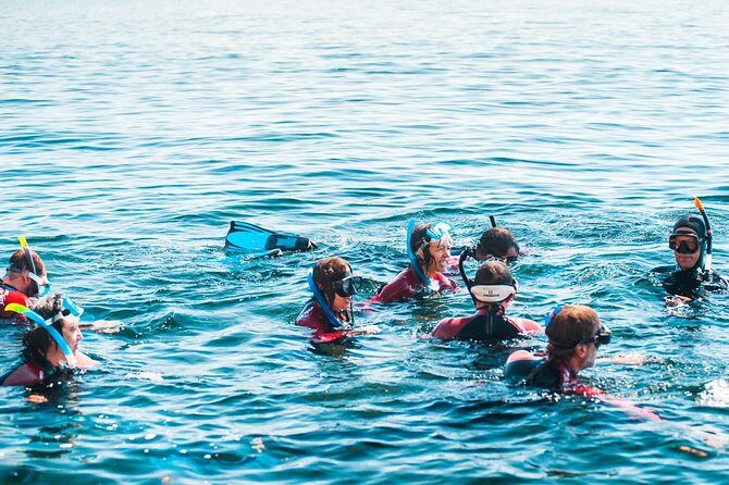 Snorkeling - Marine Park Discovery - FAQ