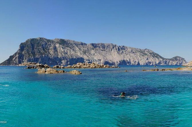 Snorkeling marine protected area Tavolara - An in-depth look at the Tavolara Snorkeling Tour