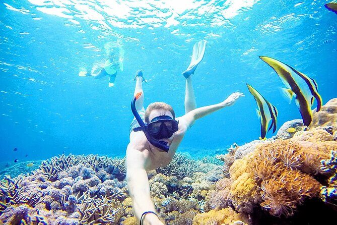 Snorkeling Nusa Penida and Island Tour Package - Key Points