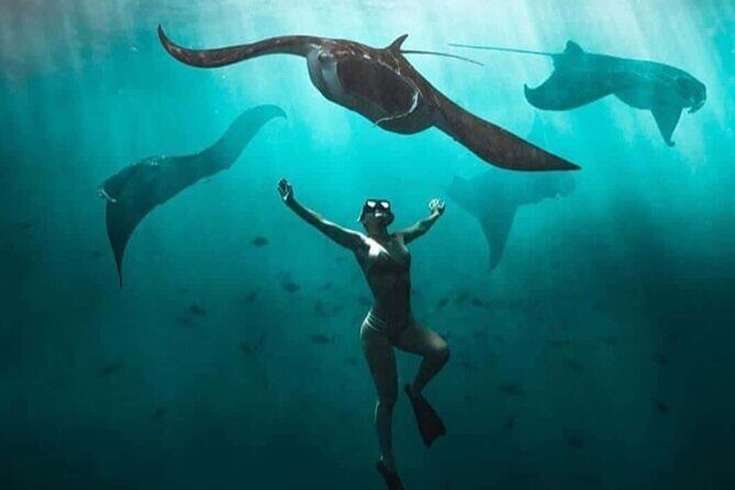 Snorkeling Nusa Penida and Island Tour Package - Final Thoughts on the Snorkeling Nusa Penida and Island Tour