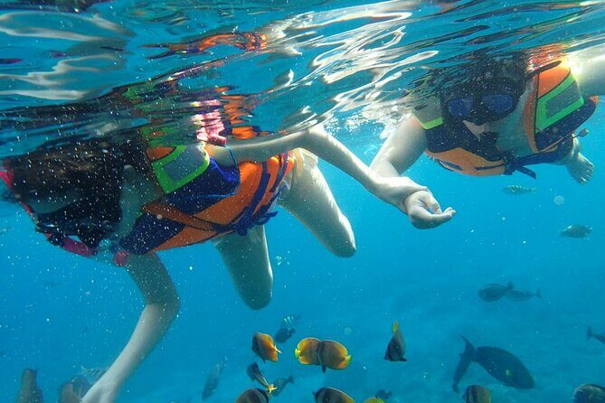 Snorkeling Nusa Penida and Island Tour Package - FAQs