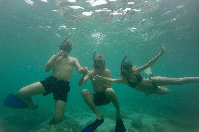 Snorkeling On Beautiful Rock Island - Unawatuna by Boat - Key Points