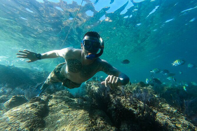 Snorkeling On Chilean Beach Transportation And Drinks Included - FAQs