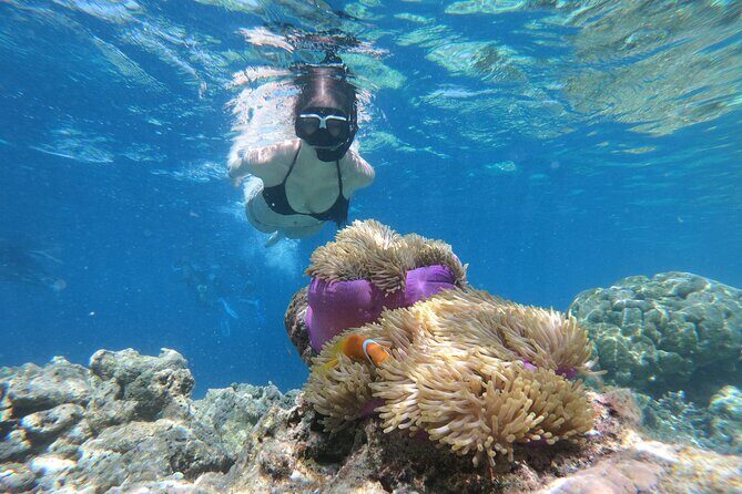 Snorkeling Tour at Blue Lagoon with Private Hotel Transfer - Key Points