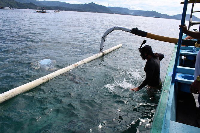 Snorkeling Tour at Blue Lagoon with Private Hotel Transfer - Discovering Bali’s Best Snorkeling with Ease