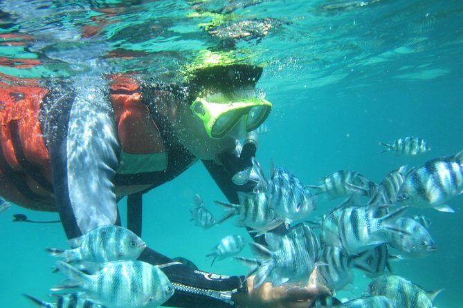 Snorkeling Tour at Blue Lagoon with Private Hotel Transfer - Practical Details and Considerations
