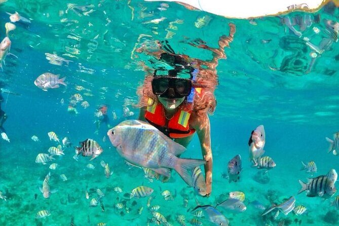 Snorkeling tour Express in Cancun with Certified Guide - An In-Depth Look at the Cancun Snorkeling Tour