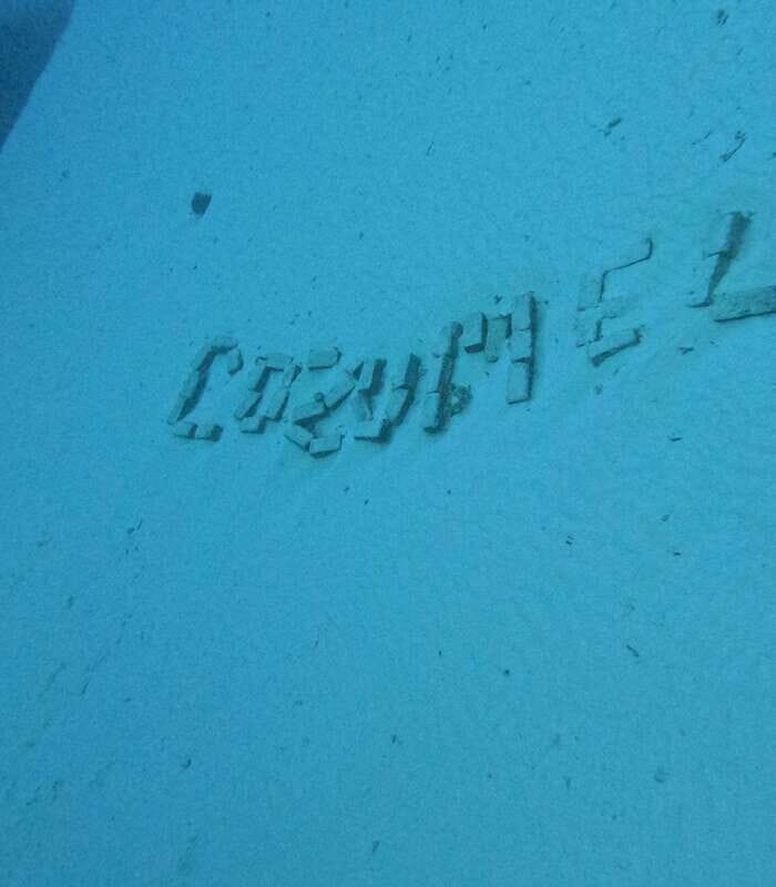 Snorkeling Tour in COZUMEL - The Sum Up