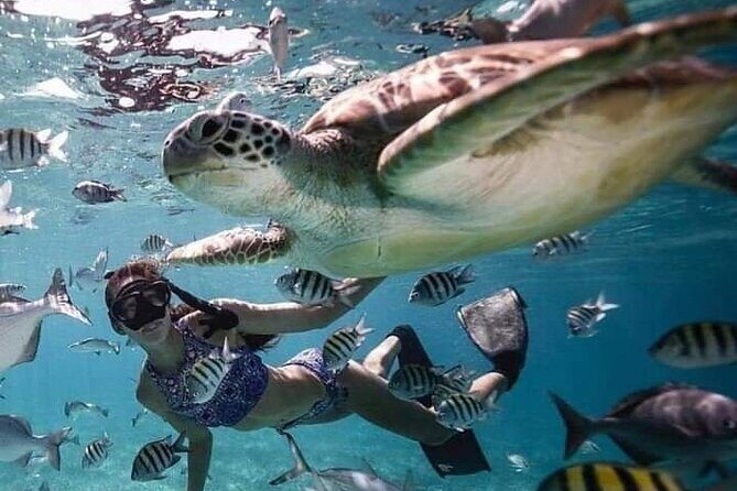 Snorkeling Tour In Gili Islands Pick Up From Lombok Or Gili - Practical Details & Considerations