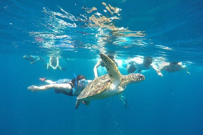 Snorkeling Tour In Gili Islands Pick Up From Lombok Or Gili - The Sum Up