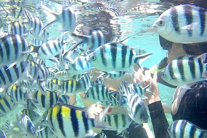 Snorkeling Tour In Gili Nanggu - The Sum Up