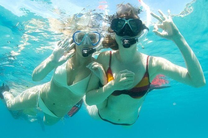 Snorkeling Tour to the Malgrats Islands by boat - Key Points