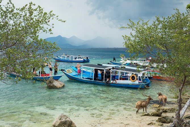 Snorkeling & Trekking at West Bali National Park - A Closer Look at the Itinerary