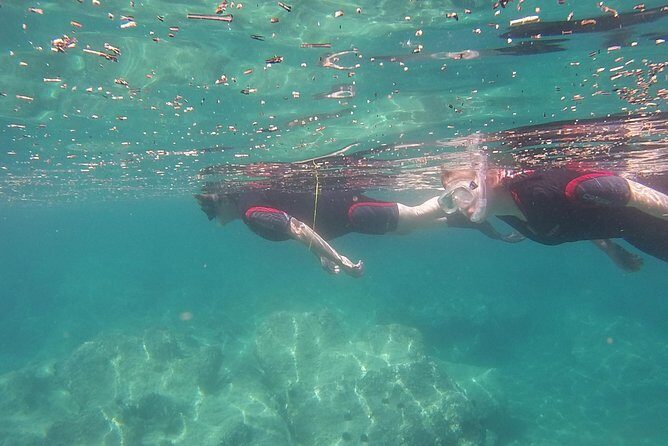 Snorkeling trip - FAQ