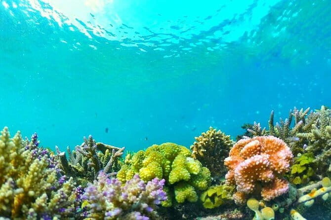 Snorkeling Trip Secret Island - FAQs
