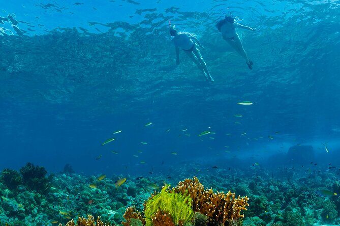 Snorkeling Trip to Menjangan Island - Authentic Feedback & Real Experiences