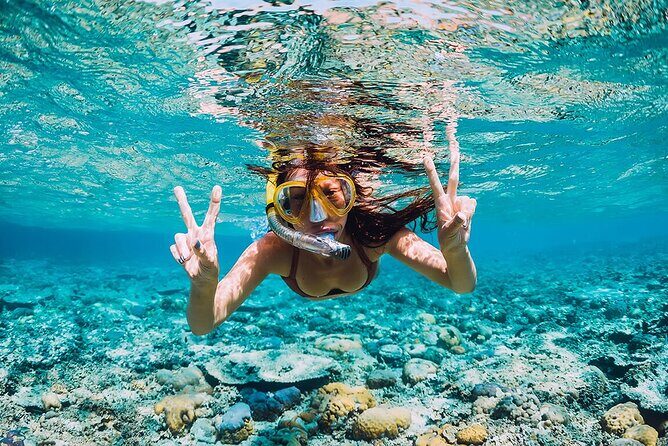 Snorkeling Trip to Pigeon Island - What Makes This Snorkeling Trip Stand Out?