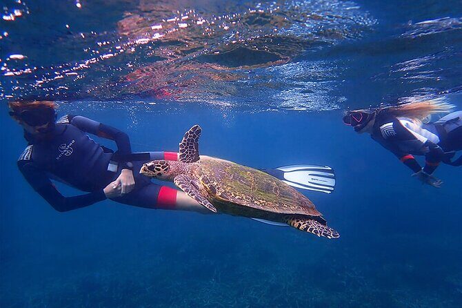 Snorkeling Trip to Pigeon Island - Final Thoughts