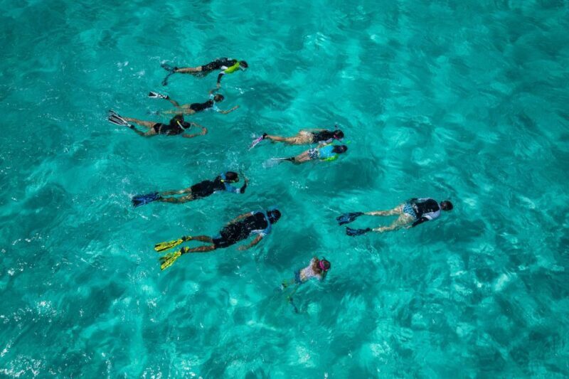 Snorkeling Trips in Amorgos - Diving into the Experience: What You Can Expect from the Tour