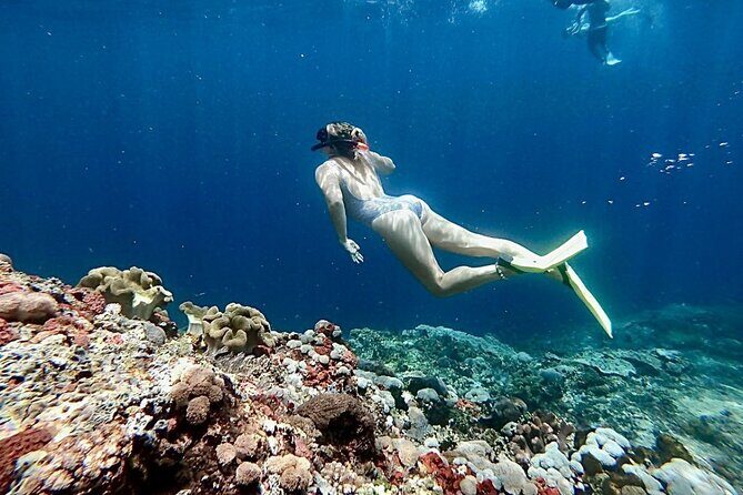Snorkeling Trips with Manta Ray from Nusa Lembongan - Who Should Consider This Tour?