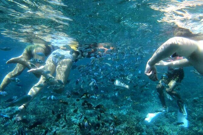 Snorkeling Trips with Manta Ray from Nusa Lembongan - Practical Tips for Your Snorkeling Trip