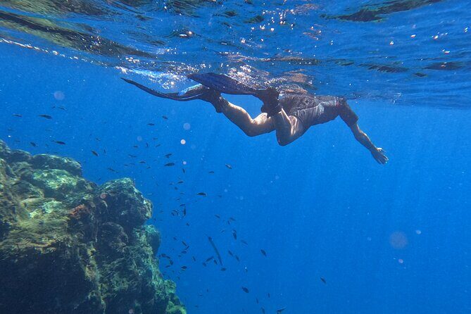Snorkeling with a Professional Instructor in Tenerife - Who Should Consider This Tour?