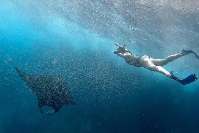Snorkeling with Manta Rays from Maafushi - An Honest Look at Snorkeling with Manta Rays from Maafushi