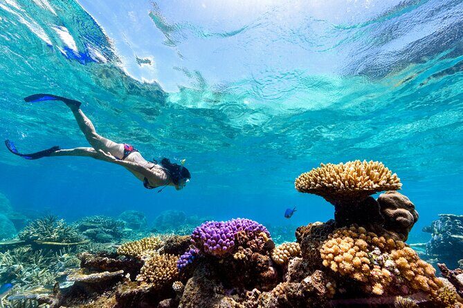 Snorkeling with Manta Rays in Nusa Penida Experience (All-Inclusive) - Final Thoughts