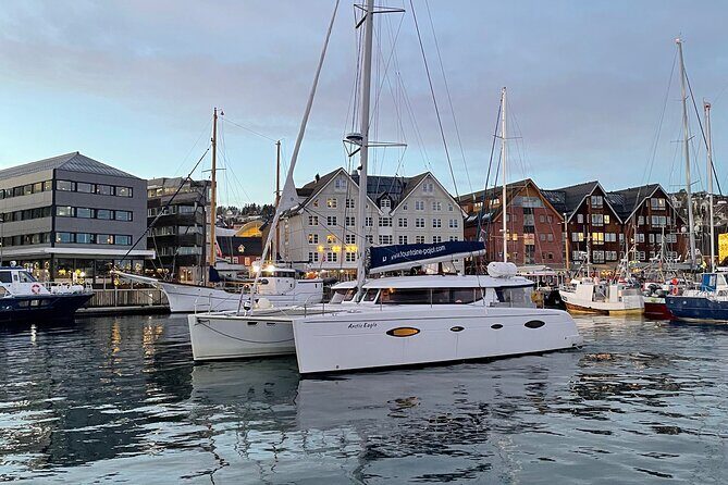 Snorkeling with Orcas In Norway, 4 days All-Inclusive expedition - The Reviews: Authentic Traveler Insights