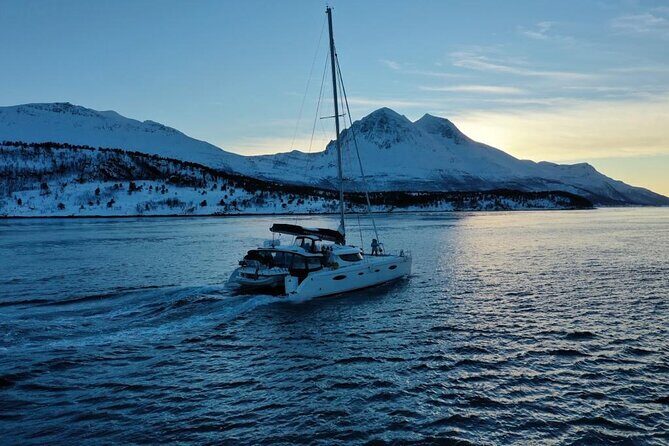 Snorkeling with Orcas In Norway, 4 days All-Inclusive expedition - The Sum Up