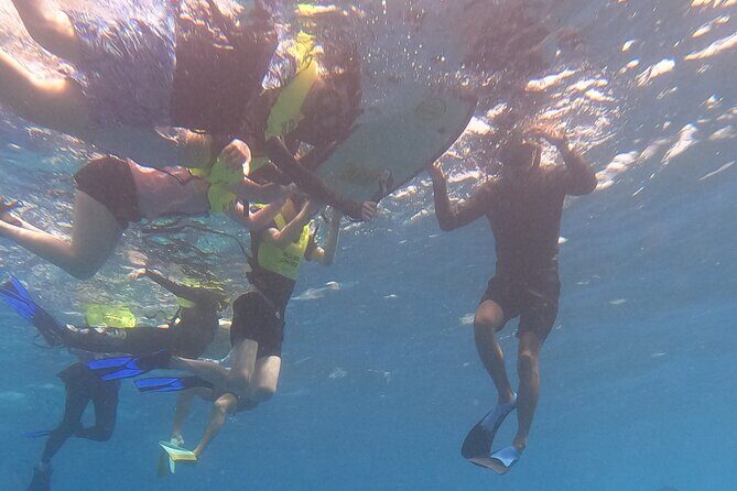 Snorkeling with Turtle/Water Scooter/Paddleboard Adventures Oahu - Key Points