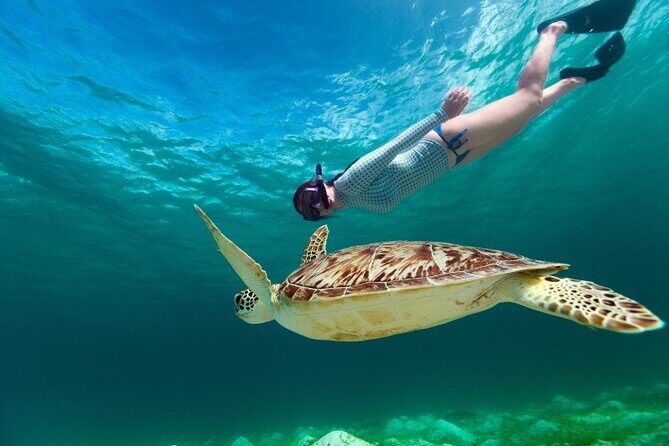 Snorkeling with Turtles and Cenotes - Whats Included and Whats Not