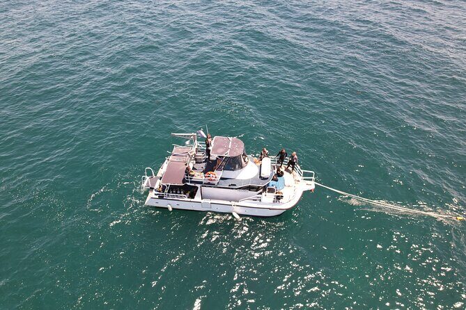 Snorkeling with Turtles  Cook Island Marine Reserve - Practical Details for Your Trip