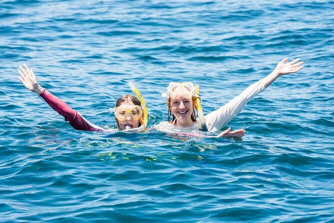 Snorkeling with Turtles  Cook Island Marine Reserve - The Sum Up