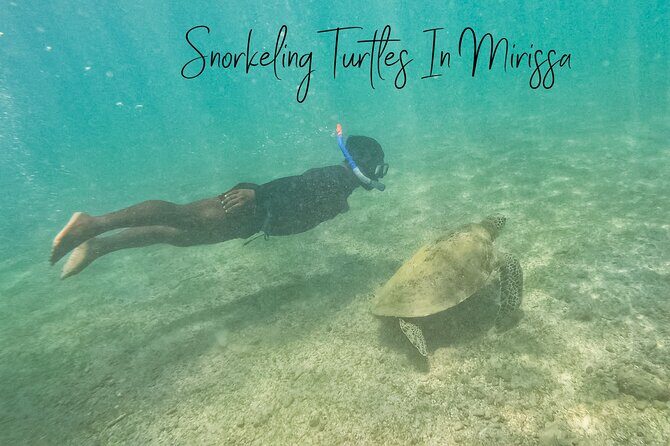 Snorkeling with Turtles in Mirissa - What to Expect from this Snorkeling Experience