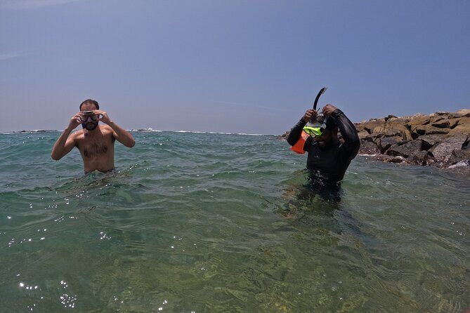 Snorkeling with Turtles in Mirissa - FAQs