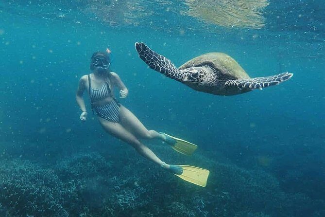 Snorkeling with Turtles in Mirissa - Key Points