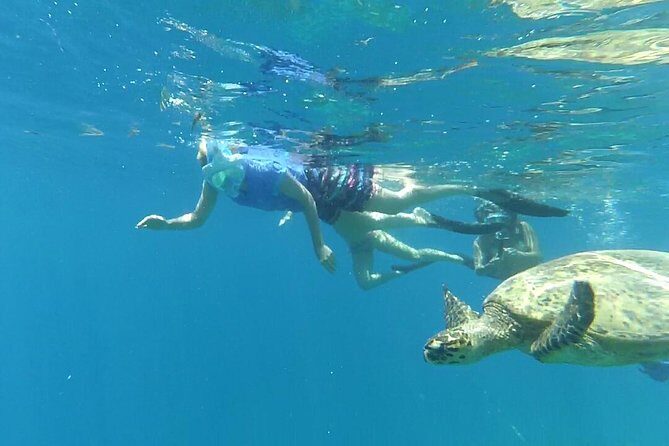 Snorkeling with Turtles on Gili Trawangan - An Overview of the Gili Islands Snorkeling Tour