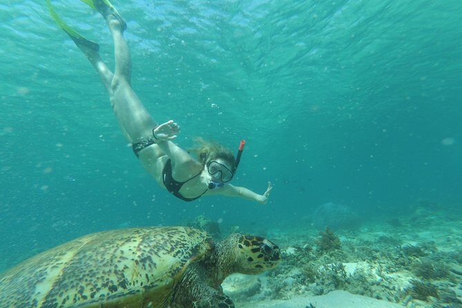 Snorkeling with Turtles on Gili Trawangan - Final Thoughts