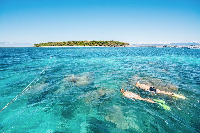 Snorkelling and Glass Bottom Boat at Green Island from Cairns - FAQ