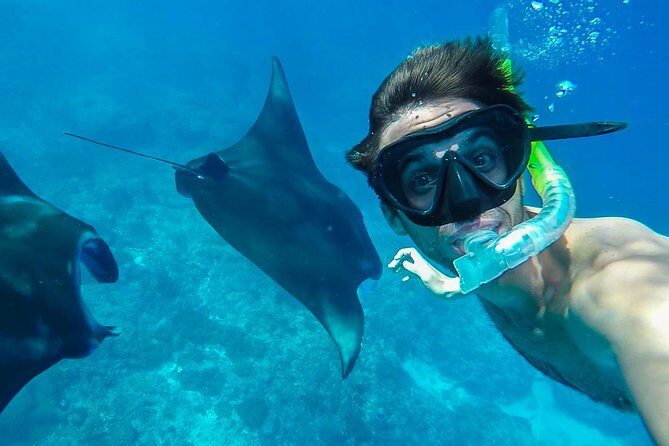 Snorkelling in Nusa Penida - Manta Point - The Itinerary Breakdown