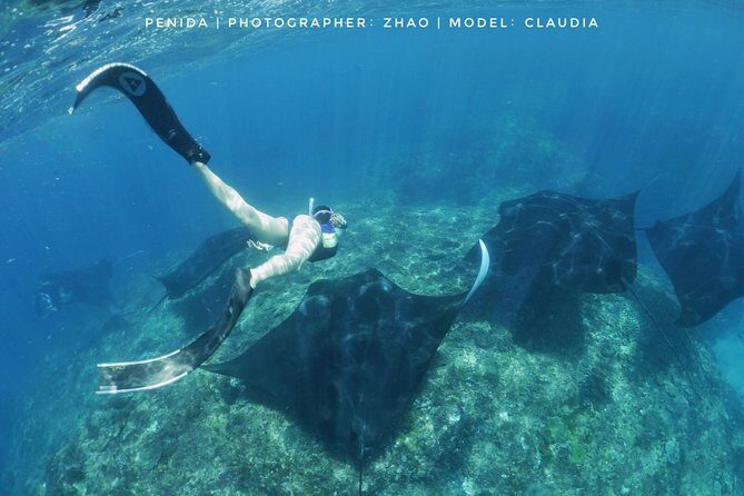 Snorkelling in Nusa Penida - Manta Point - Who Is This Tour Best For?